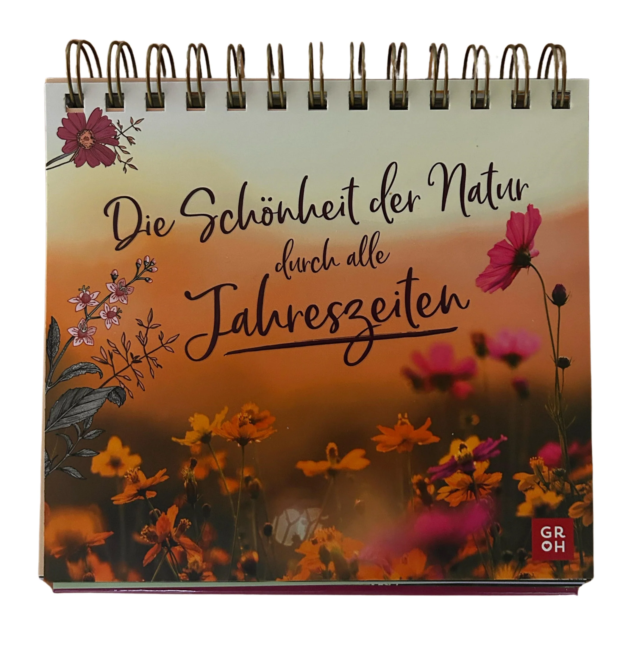 Vorschaubild 1